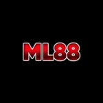 ml88zcom's avatar