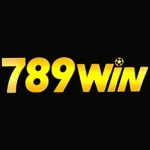 789wintstore's avatar