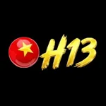 h13official's avatar