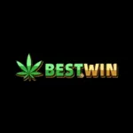 bestwin's avatar