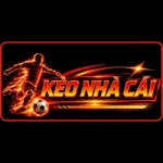 keonhacai5biza's avatar