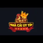 nhacaiuytin1v's avatar