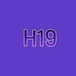 h19site's avatar