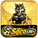 socolivekz's avatar