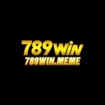 789winmeme1's avatar