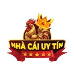 nhacaiuytincom1vn's avatar