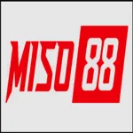 miso88aasia1's avatar