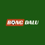 Bongdaluprocom's avatar