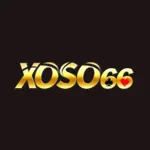 xoso66cnet's avatar