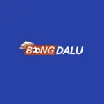 Bongdaluvision's avatar