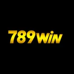 7789winink's avatar
