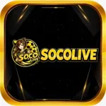 Socolivewebapp's avatar