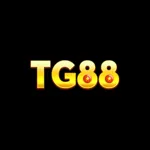 tg88foo's avatar