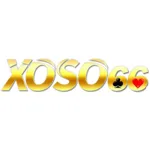 fxoso66com's avatar