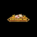 xocdiaonlinein's avatar
