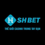 shbetorg's avatar
