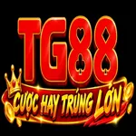 tg88luxury's avatar