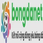 bongdanetstore1's avatar