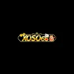 Xoso666tech's avatar