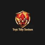 tructieptonhonnet's avatar