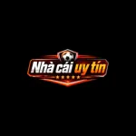 nhacaiuytinnhatvietnamcom's avatar