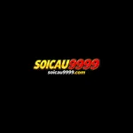 soicau9999com's avatar