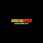 soicau24hlive's avatar