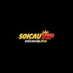 soicauviplive's avatar
