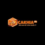 Cakhiatvsh's avatar