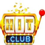 hitclubingocom's avatar