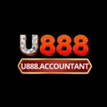 u888accountant1's avatar