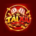 thongketaixiu's avatar