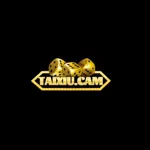 Taixiucam's avatar
