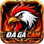 dagacamvideo's avatar