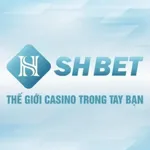 shbetad's avatar