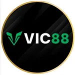 vic88codes's avatar