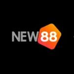 new88host's avatar