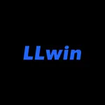 llwincfd's avatar