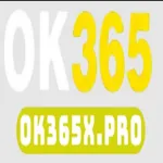 ok365nhacaicam's avatar