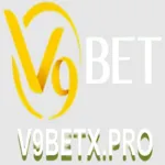 v9betggvn's avatar