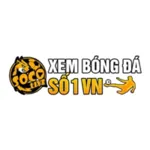 socolive68live's avatar