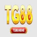 tg88meme's avatar
