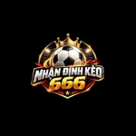 nhandinhkeo666's avatar