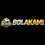 bolakamitop's avatar