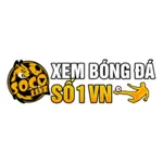 socolivereviews's avatar