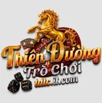 tdtcitcom's avatar