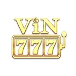vin777care's avatar