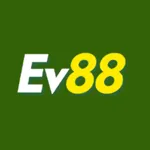 ev88wales1's avatar