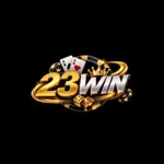23winpronet's avatar