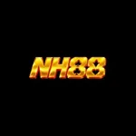 nnh8888com's avatar